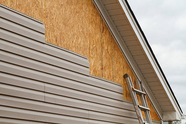 Professional Siding Inspection technician working in Westminster, CO